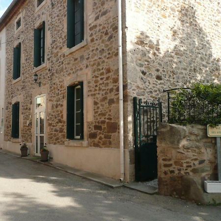 Les Terres Basses Fabrezan Exterior foto
