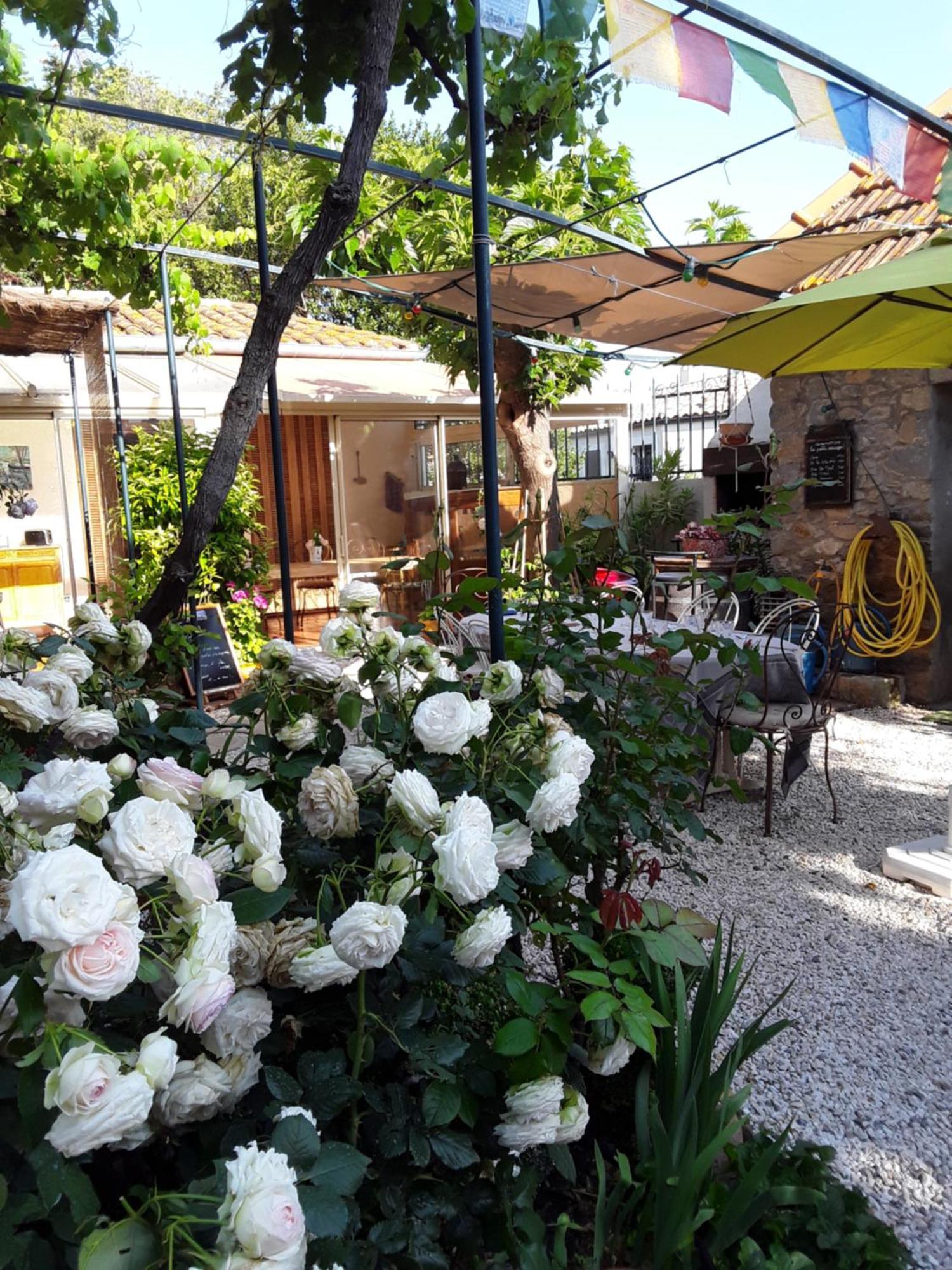 Les Terres Basses Fabrezan Exterior foto
