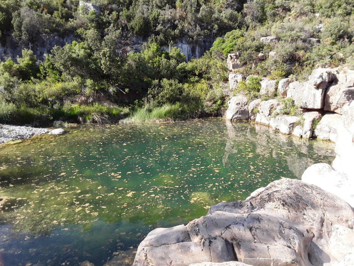 Les Terres Basses Fabrezan Exterior foto